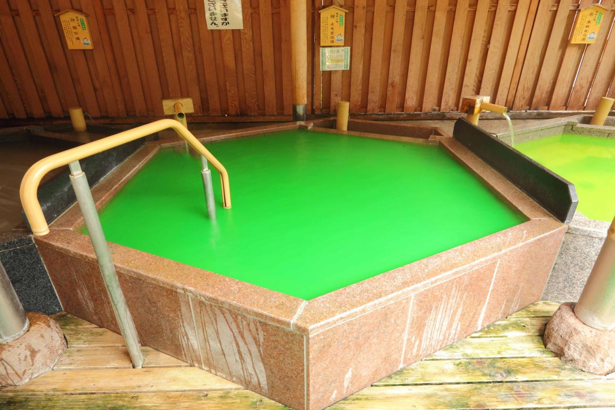 Hotel Futaba Yuzawa  Luaran gambar
